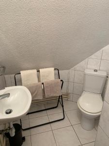 a white bathroom with a toilet and a sink at Studio à Ribeauvillé in Ribeauvillé