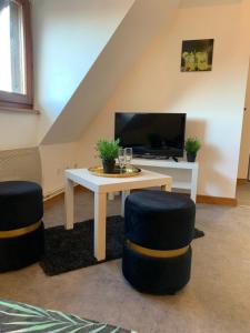 TV a/nebo společenská místnost v ubytování Studio à Ribeauvillé