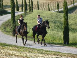 Gallery image of I Puntoni Agriturismo in Magliano in Toscana