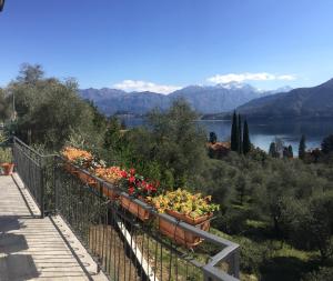 Galería fotográfica de La Dolce Vista en Tremezzo