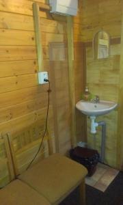 a bathroom with a sink and a mirror at Pension Doctor in Dvůr Králové nad Labem