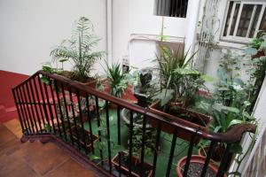 Zahrada ubytování Central Station Hostel Barcelona