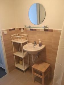 ein Bad mit einem Waschbecken und einem Spiegel in der Unterkunft Rodinný penzion in Mikulov