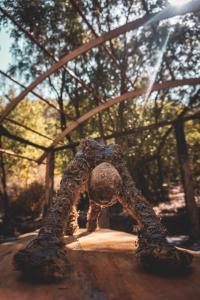 Gambar di galeri bagi Biosfera Lodge di Olmué