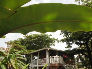 Zahrada ubytování Treehouse Apartment at La Lodge at Long Bay