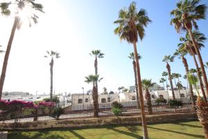 Gallery image of Apartment with terrace in Playa de Las Americas in Playa de las Americas
