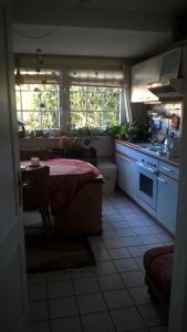 eine Küche mit einem Tisch und eine Küche mit einem Waschbecken in der Unterkunft Gemütl. Ferienwohnung und Privatzimmer in Hamburg