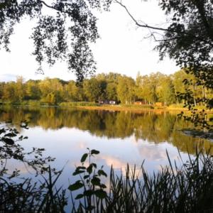 uitzicht op een meer met bomen op de achtergrond bij My Secret Garden in Diepenbeek