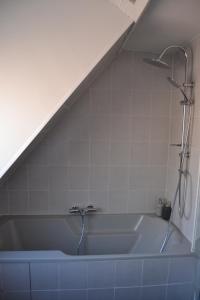 een badkamer met een bad en een douche bij P'tit Biscuit in Riquewihr