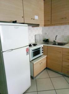 a kitchen with a white refrigerator and a microwave at Xenon Christina in Vivari