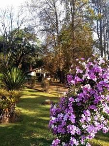 un jardín con flores púrpuras en un patio en Hotel Refazenda en Visconde De Maua