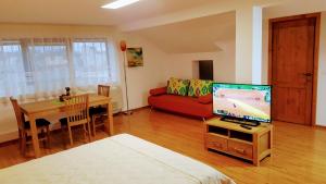 Una sala de estar con un sofá rojo y un televisor. en Villa Sanitas, en Techirghiol