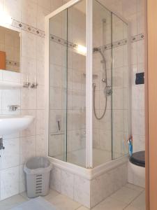 Un baño con ducha, inodoro y lavabo. en Haus Rita, en Mittenwald