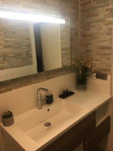 阿姆斯特丹Garden Room and Economy Room的相册照片