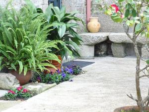 a garden with plants and flowers in pots at Albergue Convento Del Camino in Tui