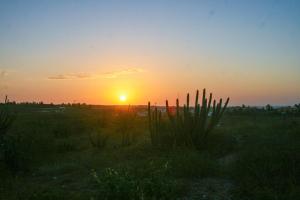 Gallery image of Pousada Recanto Beija-Flor in Fortim