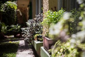 Aed väljaspool majutusasutust Hostal Bogotá Real