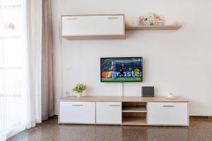 Una televisión o centro de entretenimiento en Anne