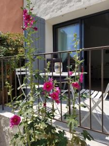 a bunch of pink flowers on a balcony at Bastide Saint Jean Baptiste in Baudinard