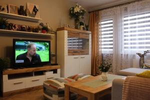 TV a/nebo společenská místnost v ubytování Apartament Euro 1 Bytom