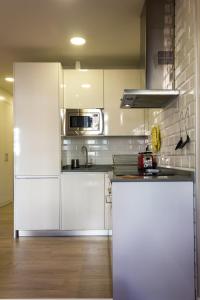 A kitchen or kitchenette at Arenal Suites Preciados