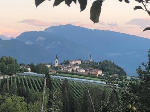 a town in a vineyard with mountains in the background at DAD HOME in Cles