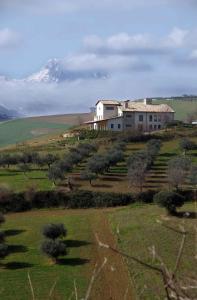 a house on top of a field with a mountain at Agriturismo Cignale in Penne