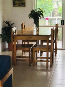 a wooden dining room table and chairs with a plant on it at Paea's Guest House in Nuku‘alofa