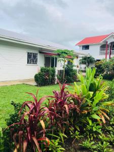 a house with plants in front of a yard at Paea's Guest House in Nuku‘alofa