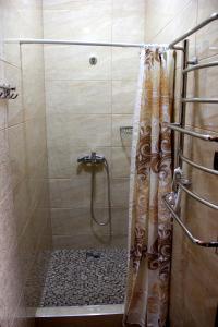 y baño con ducha y cortina de ducha. en Villa Venezia en Sevastopol