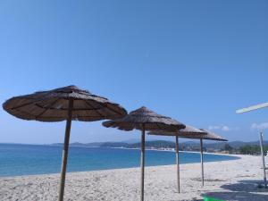 un grupo de sombrillas en una playa de arena en Porto Κoufo Halkidiki, en Porto Koufo