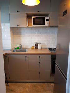 a kitchen with a sink and a microwave at D&C Studio in Bucharest