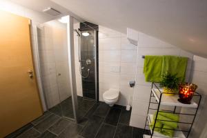 ein Bad mit einer Dusche und einem WC in der Unterkunft Europa Pension Tirol in Fliess