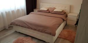 Gallery image of Apartament Rosenau in Râşnov