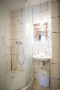 扎科帕內的住宿－Pokoje Gościnne Rysy，带淋浴、盥洗盆和卫生间的浴室