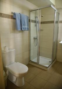 ein Badezimmer mit einem WC und einer Dusche mit blauen Handtüchern in der Unterkunft Elysso Hotel in Larnaka