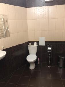 łazienka z toaletą i umywalką w obiekcie 1 вулиця Софії Русової w Kijowie