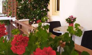 Fotografia z galérie ubytovania Solaris B&B v destinácii Milazzo