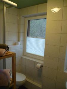 Ένα μπάνιο στο Ferienhaus zum Kirnitzschtal +10 φωτογραφίες