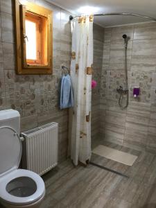 a bathroom with a shower and a toilet at Pensiunea Valea Tonii in Strungari +31 photos