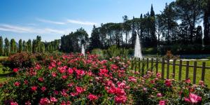 a garden with pink flowers and a fountain at Masseria GiòSole in Capua +5 photos