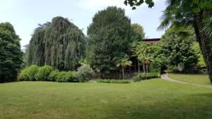 un prato alberato e una casa sullo sfondo di Villa Magnolia Lago Maggiore a Besozzo