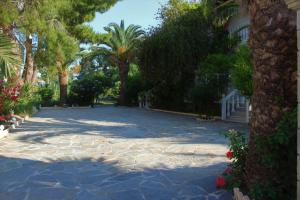 Zahrada ubytování Pavlos studios