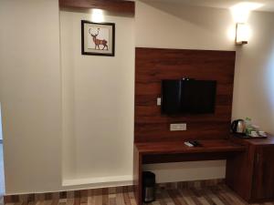 TV a/nebo společenská místnost v ubytování Red Crown Hotel
