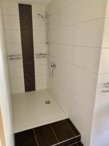 ein Bad mit einer Dusche und einer Glastür in der Unterkunft Ferienwohnungen Grimma 1 in Grimma