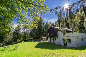dom na środku pola z drzewami w obiekcie APPARTAMENT La locanda delle pulci Bio Welness w mieście Mezzana