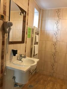 Gallery image of Pension Hanul Andritei in Craiova