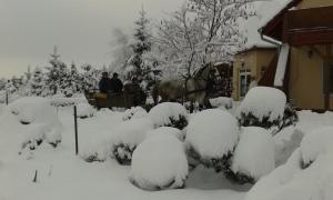 HARTMANN PANZIÓ during the winter