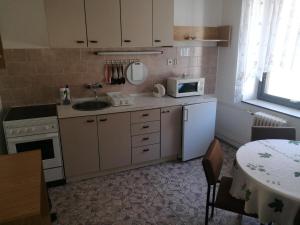 una pequeña cocina con fregadero y microondas en Pension Sport en Malá Morava