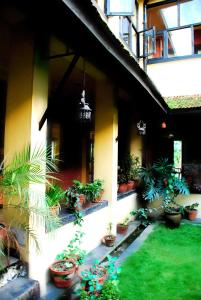 Aed väljaspool majutusasutust Planet Bhaktapur Hotel